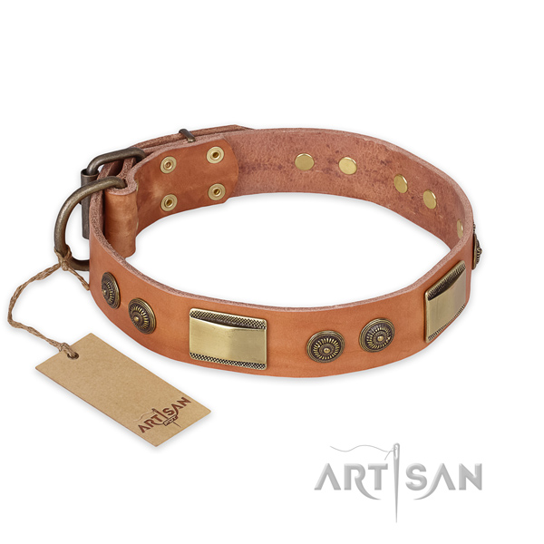 Significant design studs on natural genuine leather dog  collar