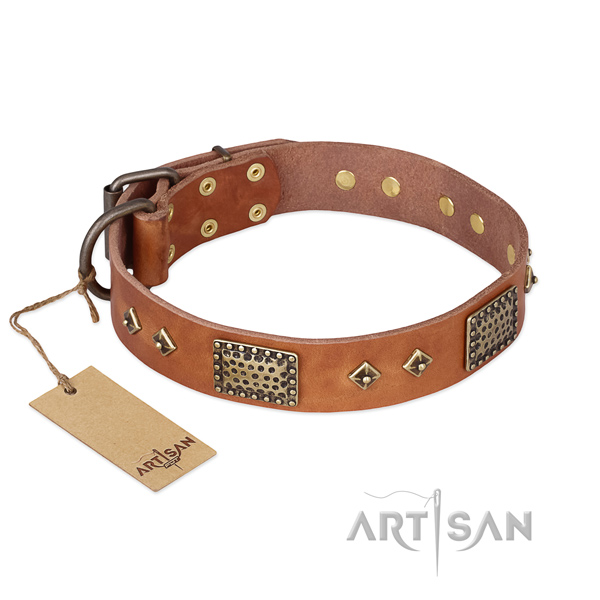 Inimitable design adornments on full grain genuine leather dog collar