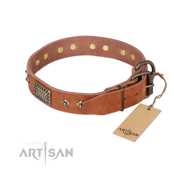 Daily use leather collar with decorations for your doggie