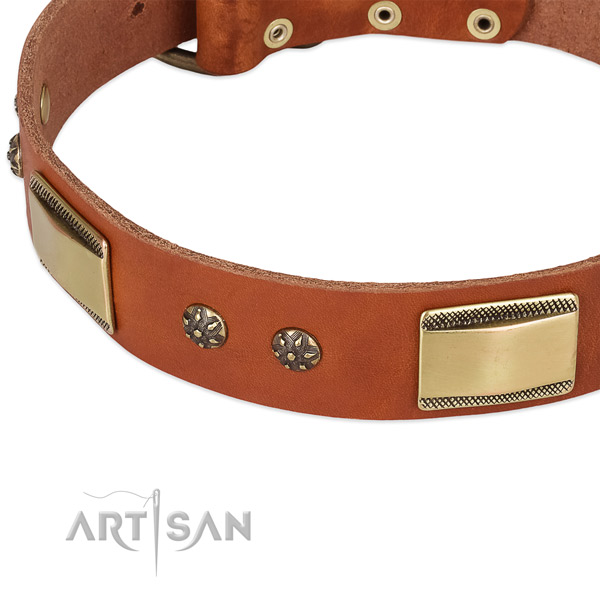 Everyday use leather collar with corrosion proof buckle and D-ring
