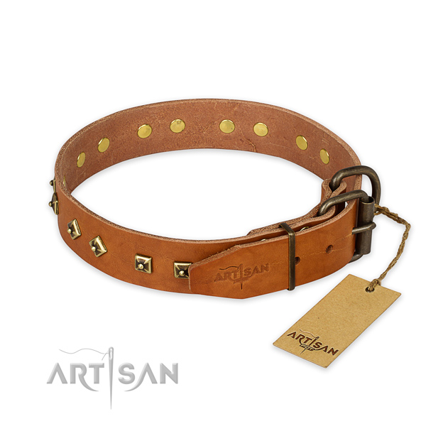 Stylish walking full grain leather collar with embellishments for your pet