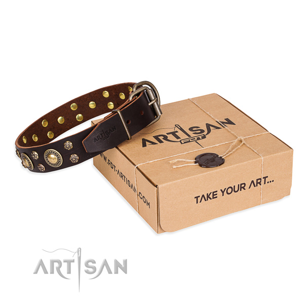 Day-to-day leather dog collar with amazing studs