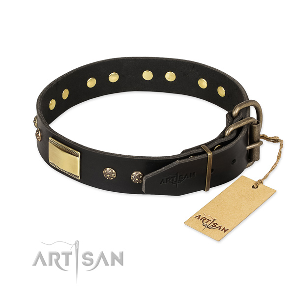 Remarkable design studs on genuine leather dog collar