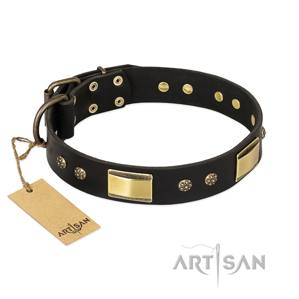 Stylish walking leather collar with embellishments for your dog