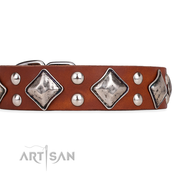 Adjustable leather dog collar with extra strong brass plated hardware