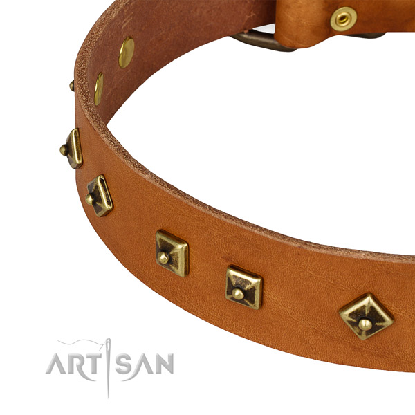 Walking genuine leather collar with rust-proof buckle and D-ring