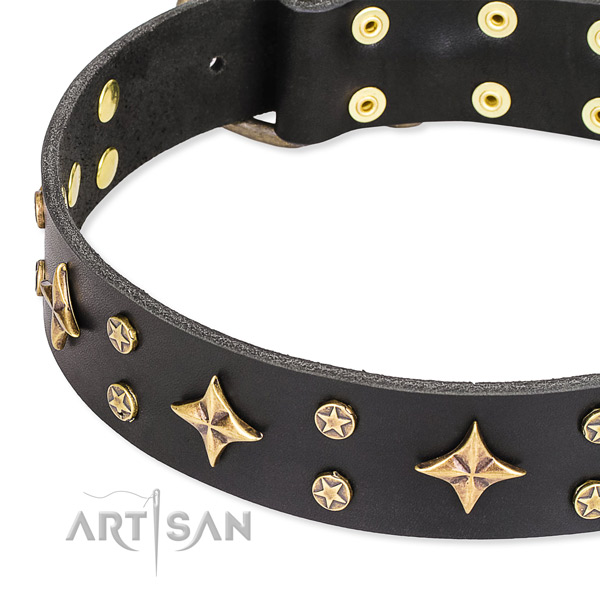 Easy to put on/off leather dog collar with resistant to tear and wear brass plated buckle