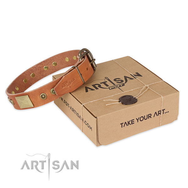 Finest quality full grain leather dog collar for walking in style