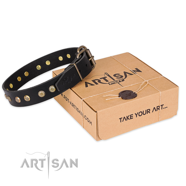 Perfect fit full grain leather dog collar for everyday walking