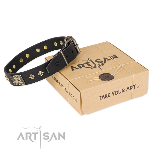 Perfect fit full grain leather dog collar for everyday use