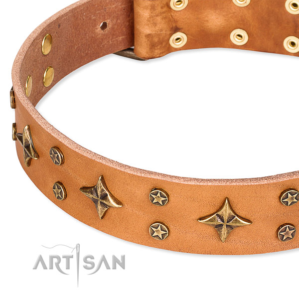 Quick to fasten leather dog collar with almost unbreakable non-rusting fittings