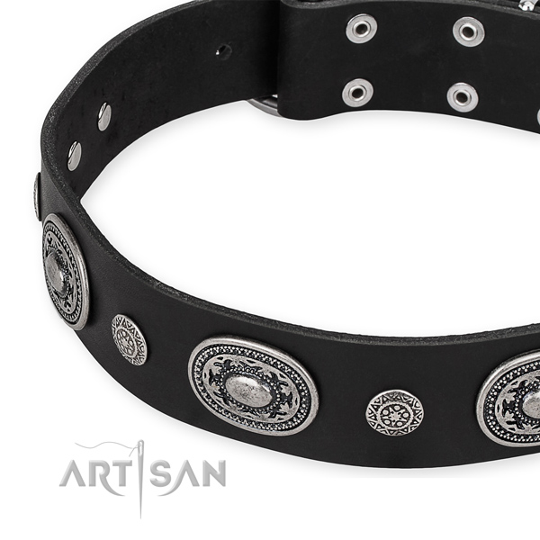 Adjustable leather dog collar with resistant durable fittings