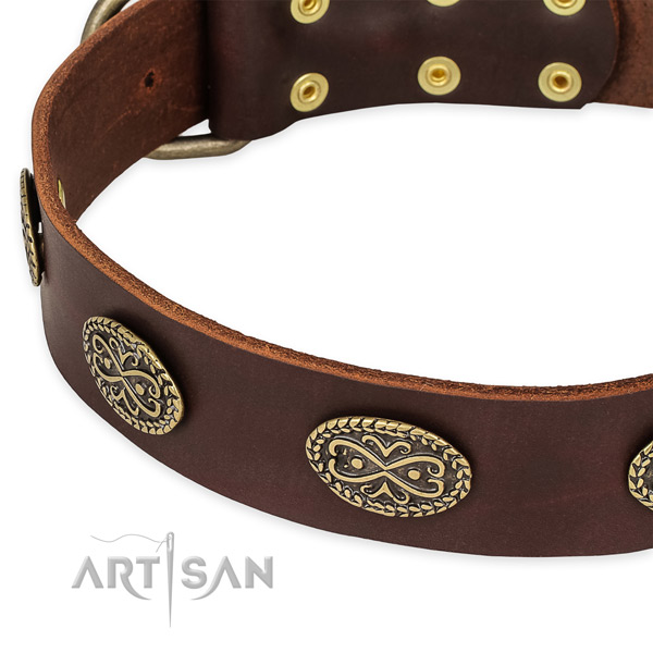 Quick to fasten leather dog collar with resistant non-rusting hardware