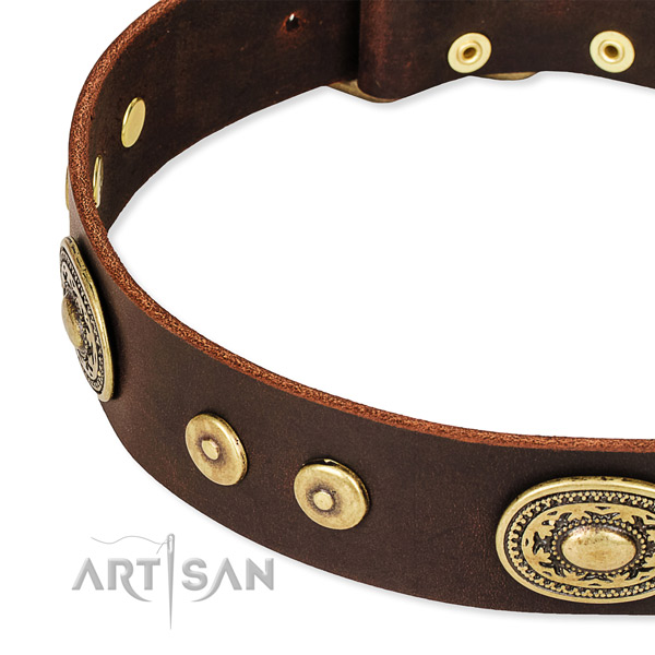 Easy to adjust leather dog collar with almost unbreakable non-rusting fittings