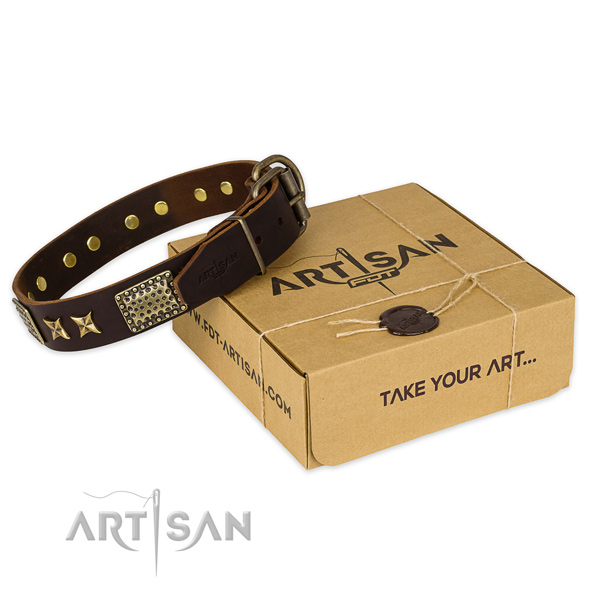 Incredible leather dog collar for walking in style