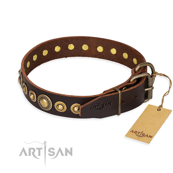 Fashionable leather collar for your gorgeous pet