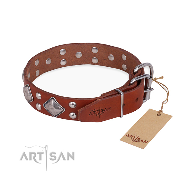 Awesome leather collar for your darling four-legged friend