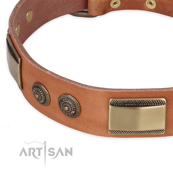 Daily use natural genuine leather collar with durable  buckle and D-ring