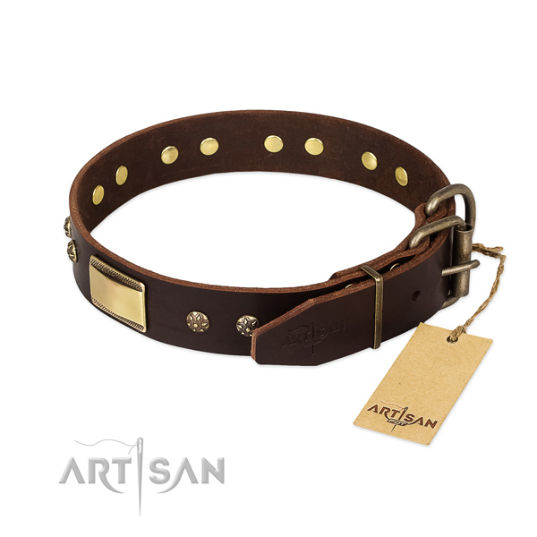 Walking genuine leather collar with decorations for your pet
