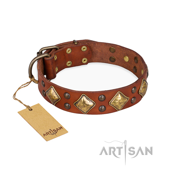 Exquisite design adornments on genuine leather dog collar