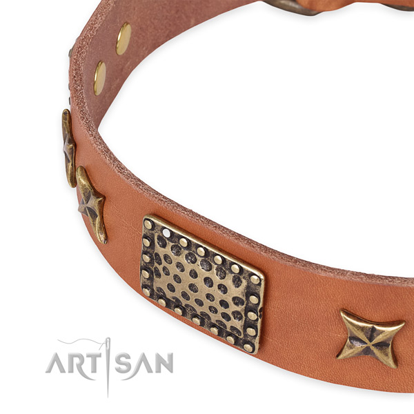 Quick to fasten leather dog collar with extra strong durable set of hardware