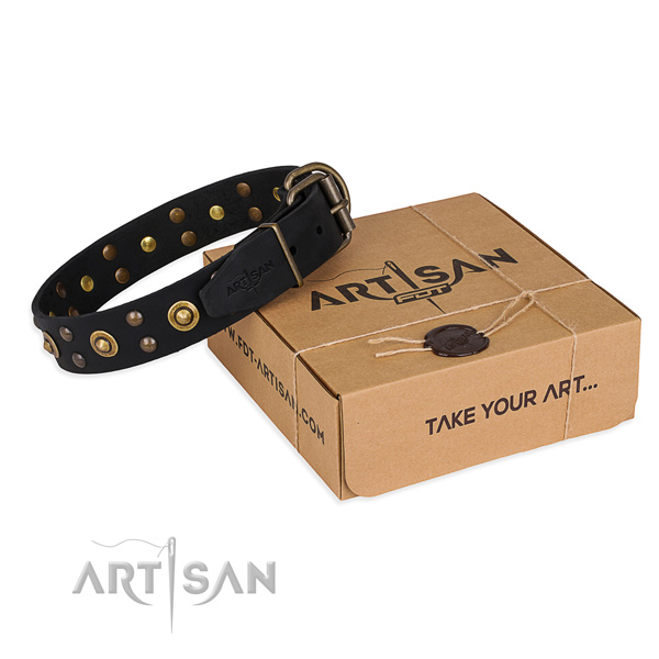 Finest quality leather dog collar for daily walking