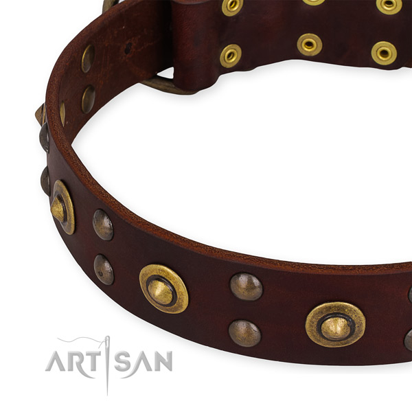 Snugly fitted leather dog collar with resistant non-rusting fittings