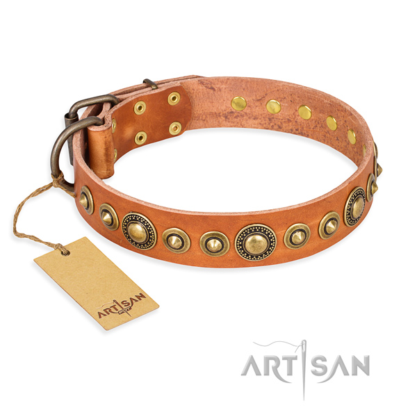Strong leather dog collar with corrosion-resistant details
