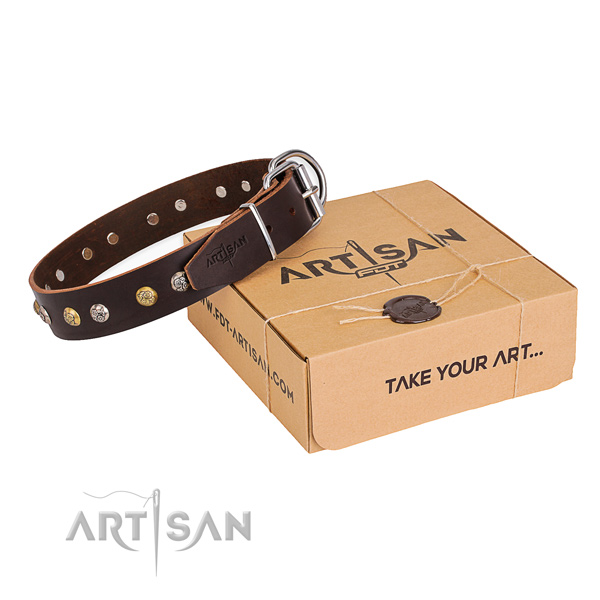 Designer full grain natural leather dog collar for daily use