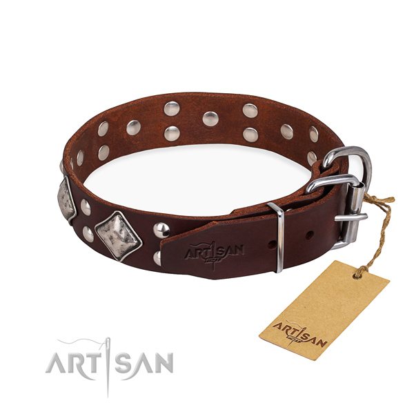 Tear-proof leather collar for your darling four-legged friend