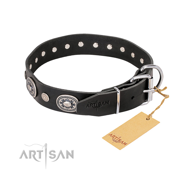 Daily leather collar for your stunning pet