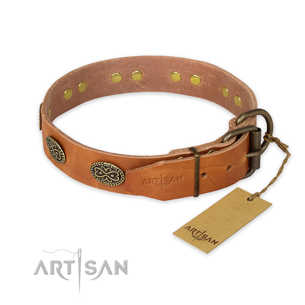 Everyday use full grain leather collar with adornments for your four-legged friend