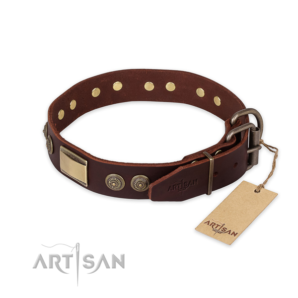 Stylish walking genuine leather collar with studs for  your four-legged friend