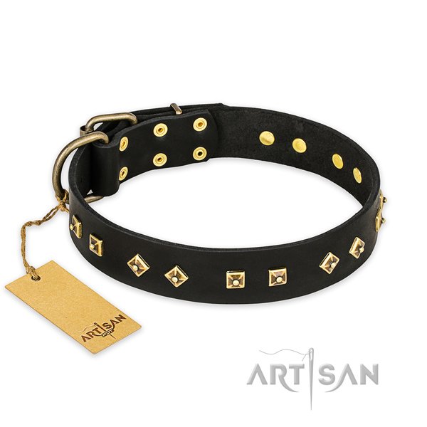 Exquisite design adornments on full grain leather dog collar
