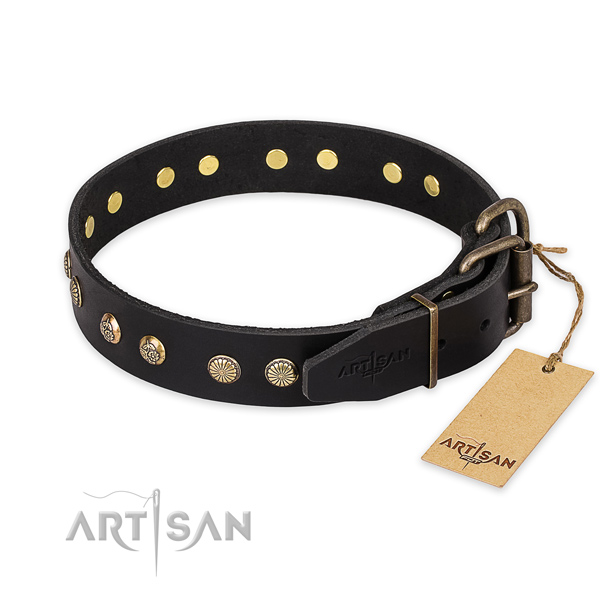 Walking full grain natural leather collar with studs for your doggie