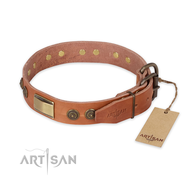 Walking leather collar with embellishments for your  four-legged friend