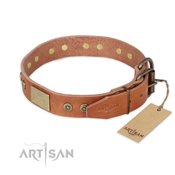 Daily use natural genuine leather collar with embellishments for your dog