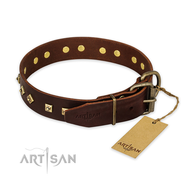 Daily use genuine leather collar with embellishments for your pet