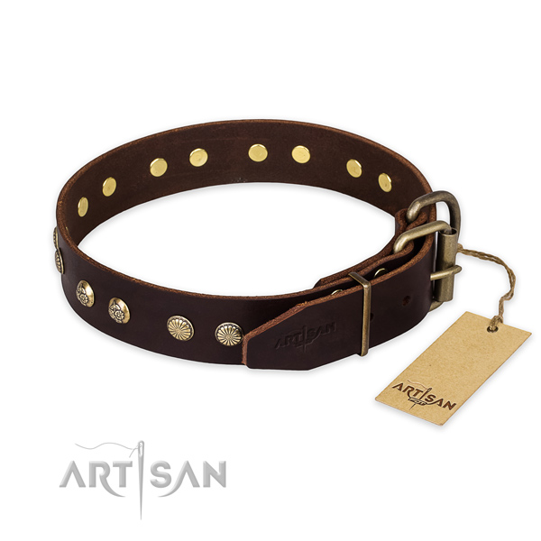 Everyday walking full grain genuine leather collar with adornments for your four-legged friend