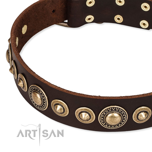 Easy to put on/off leather dog collar with extra sturdy brass plated buckle and D-ring