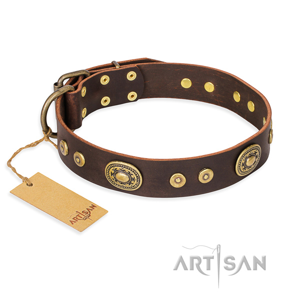 Tough leather dog collar with sturdy elements