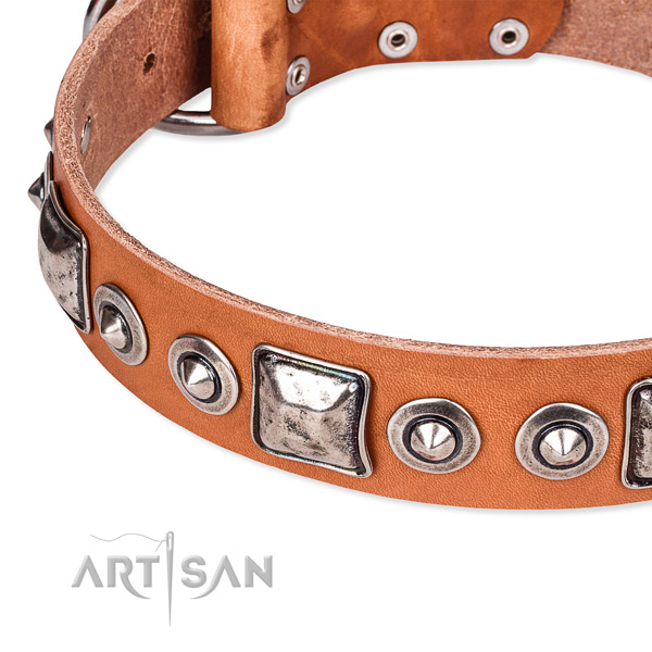 Quick to fasten leather dog collar with almost unbreakable durable buckle