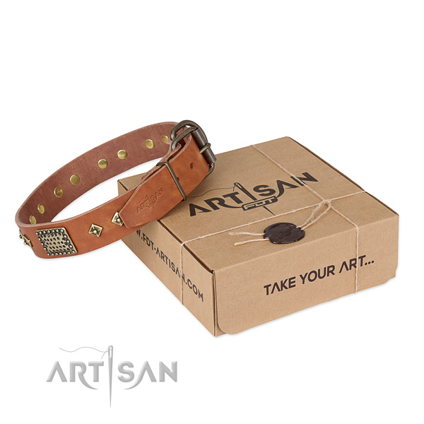 Fashionable full grain genuine leather dog collar for walking in style