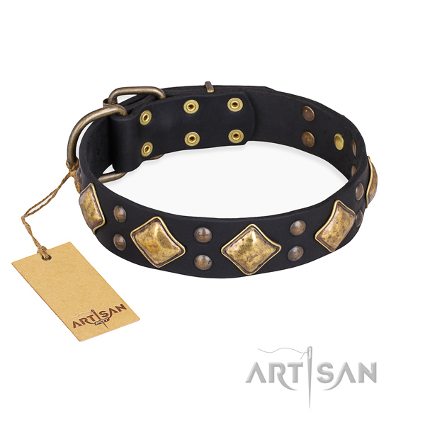 Unusual design adornments on natural genuine leather dog collar