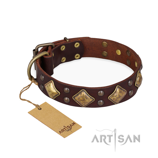 Significant design embellishments on genuine leather dog collar