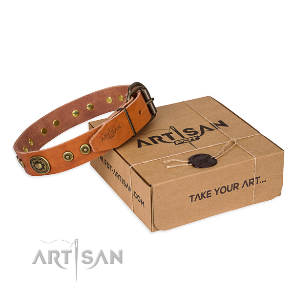 Perfect fit full grain natural leather dog collar for daily use