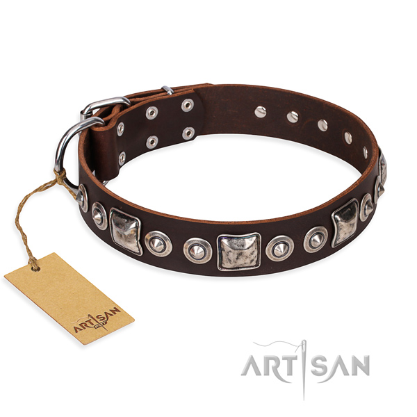 Indestructible leather dog collar with riveted elements