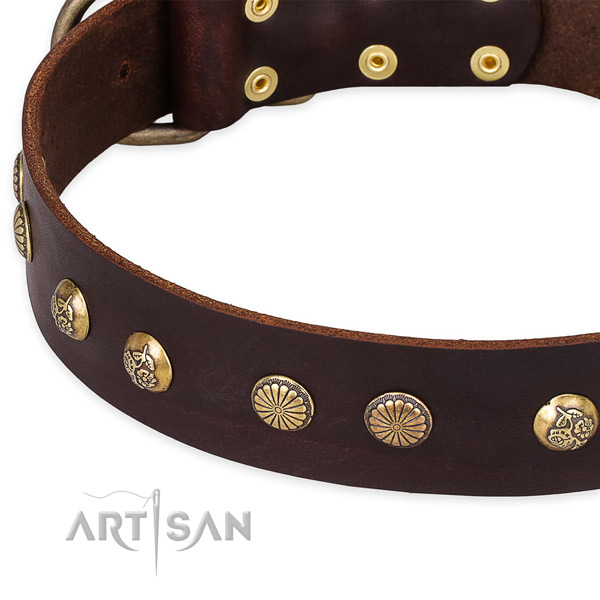 Adjustable leather dog collar with extra strong rust-proof set of hardware