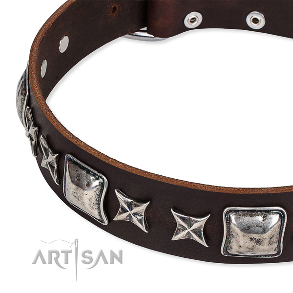 Easy to adjust leather dog collar with extra sturdy rust-proof buckle and D-ring