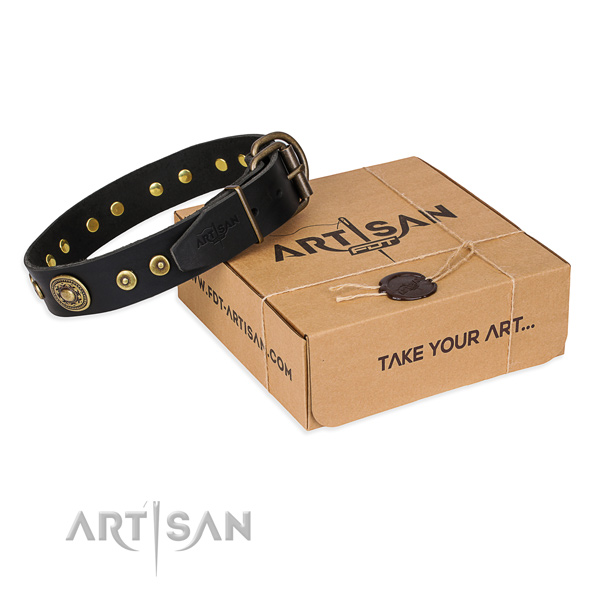 Finest quality full grain leather dog collar for daily walking